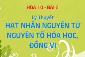 Số khối là gì? Số hiệu nguyên tử là gì? Công thức, cách tính số khối, số hiệu nguyên tử và nguyên tử khối trung bình - Hóa 10 bài 2